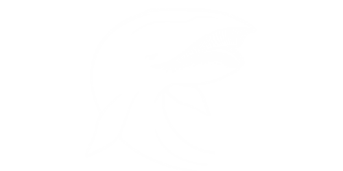 Ballenado